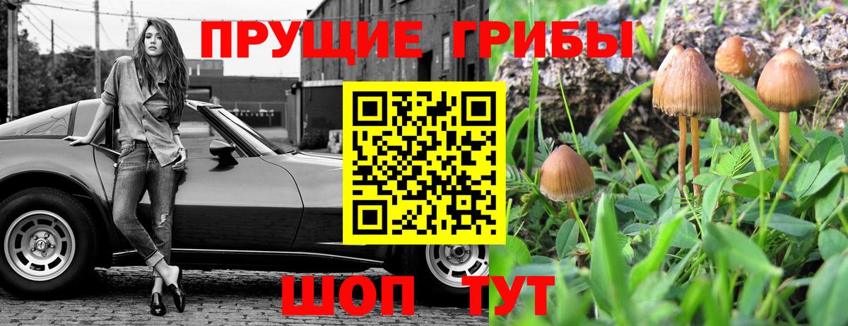 закладки  Вход с VPN  Кольчугино  Галлюциногенные грибы прущие грибы 